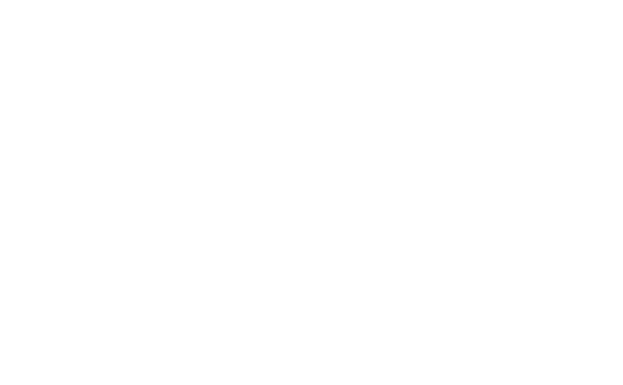 Protect Lev